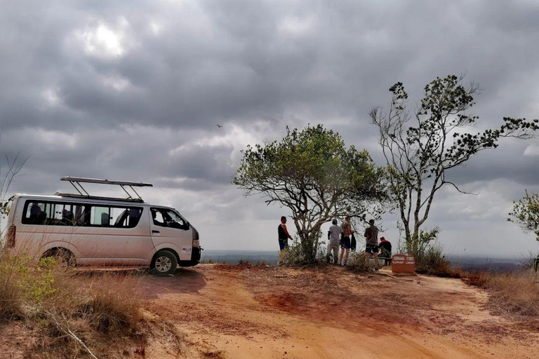 Diani: Guided day trip to Shimba Hills Reserve with lunch