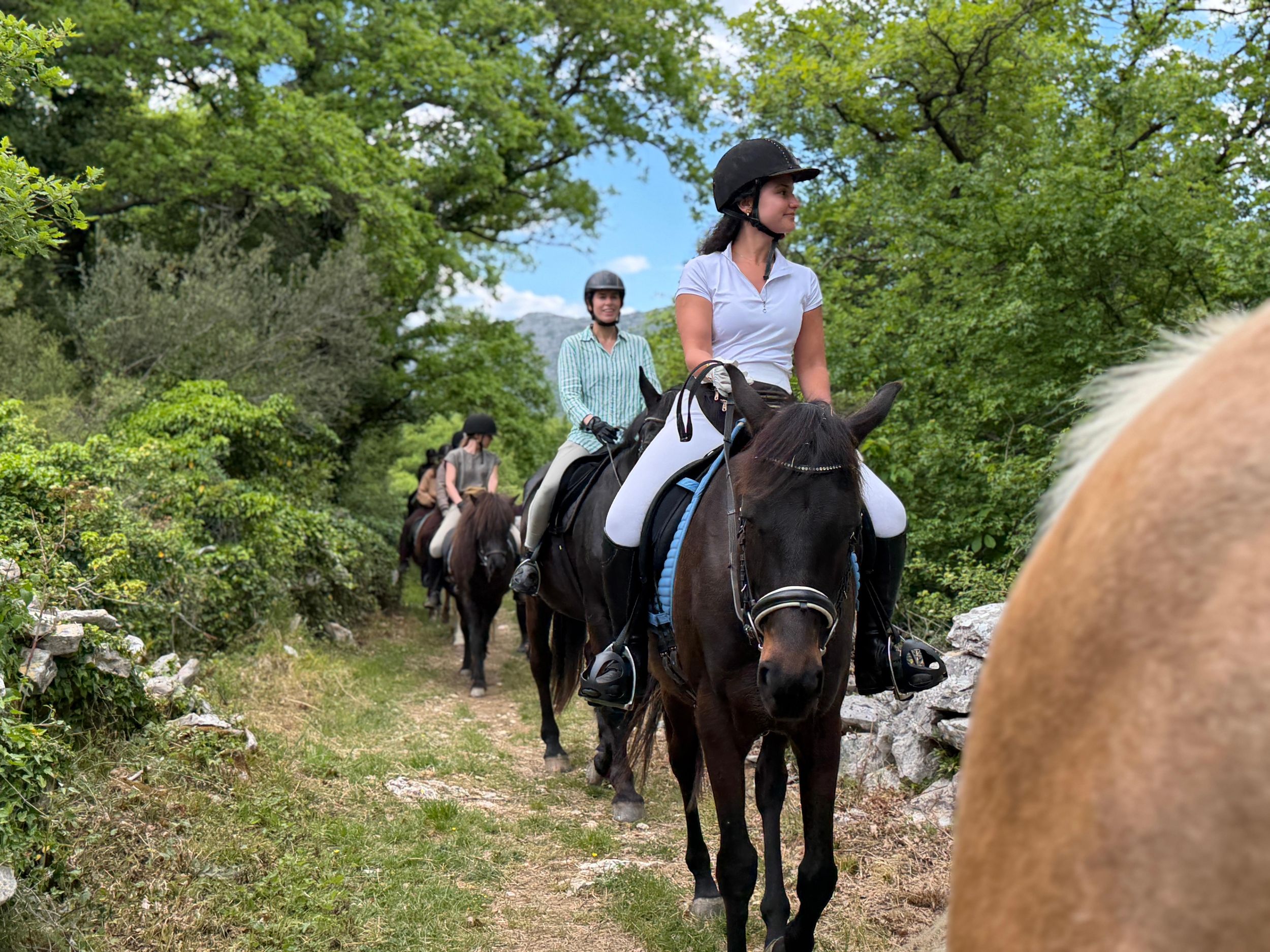 Dubrovnik: Ausritt mit ortskundigem Guide – für Anfänger geeignet