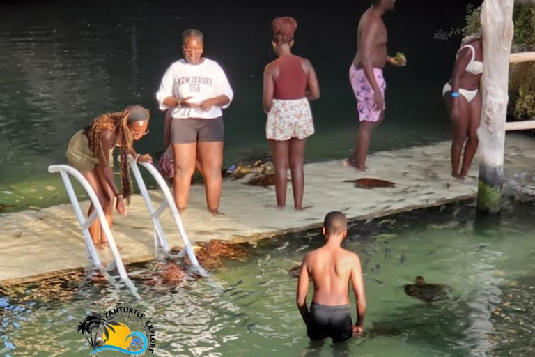 Nungwi: Swimming with Turtles at The Lagoons Zanzibar Hotel Transfers within Nungwi and Kendwa