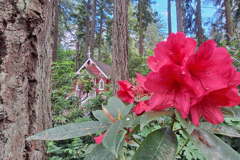 Portland: Der Ausflug zur Grotte