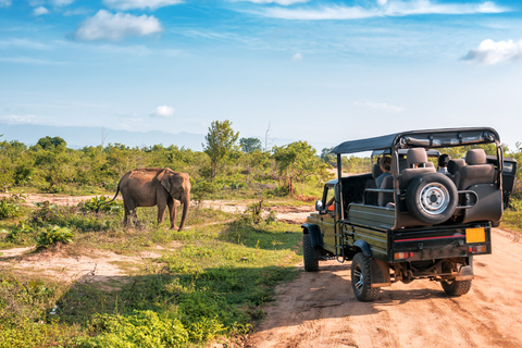 From Zanzibar: 2-Day Selous Safari with Flights & Lodge Stay 2-Day Selous Safari - Without Transfer