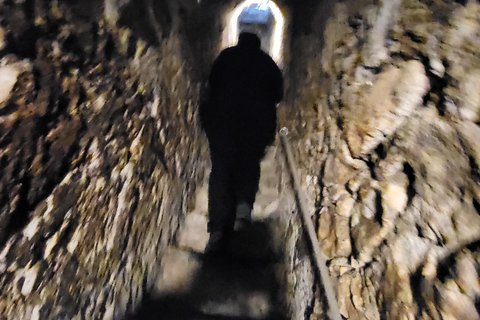 Descobre a Transilvânia: Castelo de Bran e viagem de um dia a BV a partir de SibiuDescobre a Transilvânia: Castelo de Bran e Viagem de um dia a BV a partir de Sibiu