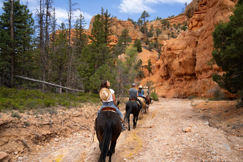 Moab: Scenic Horseback Ride Through Red Rock Country