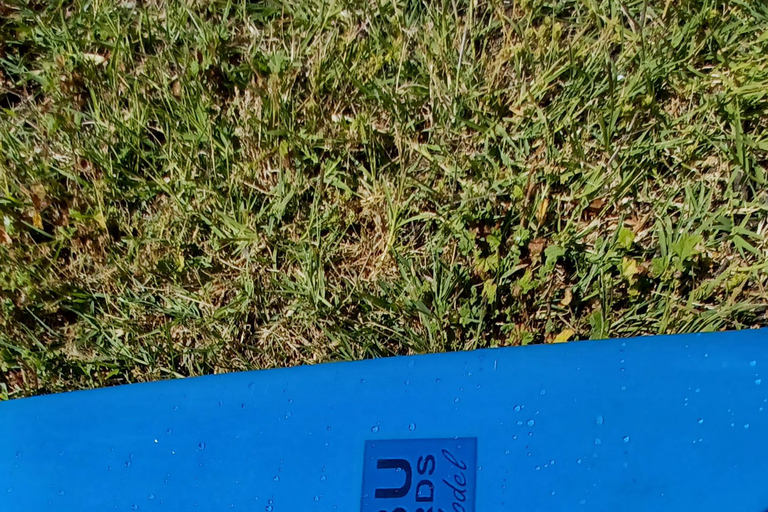 Santa Monica: Surfboard and Wetsuit Rental