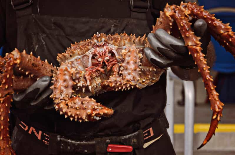 Bering Sea Crab Fishermen's Tour | GetYourGuide