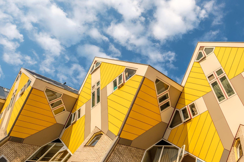 Lo Mejor de Róterdam: Visita privada a pie con un lugareñoVisita privada a pie por la ciudad - 2H