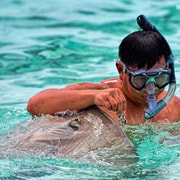Bora Bora: safari en 4x4 con tour combinado de snorkel