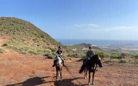  - Canarie.it