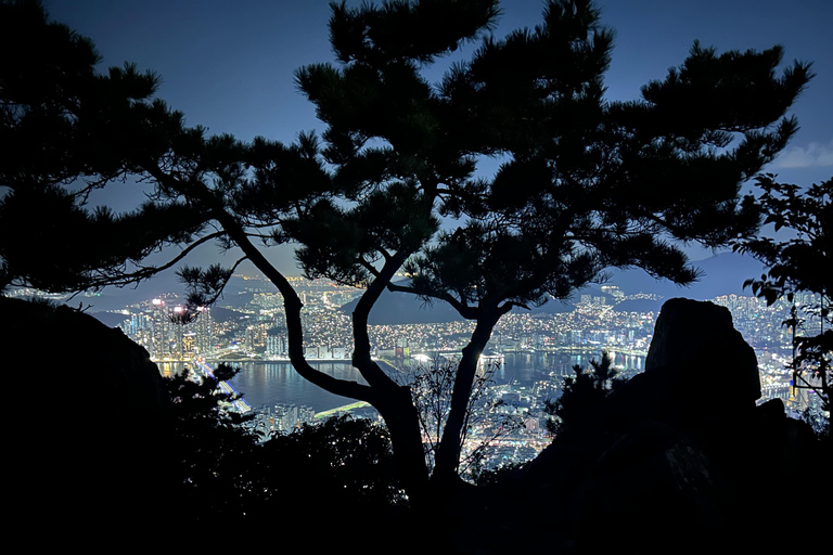 Busan: escursione notturna con la migliore vista sull&#039;oceano