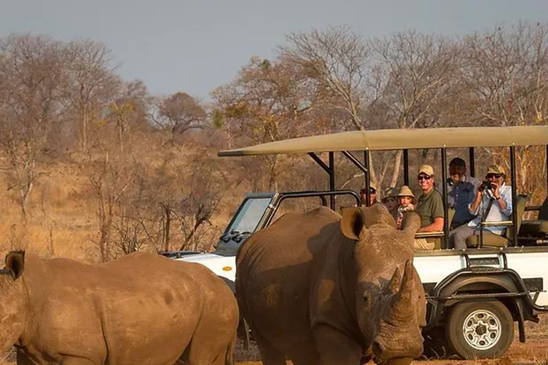 Livingstone: Rhino Game Drive & Devil's Pool Tour (High Tea)