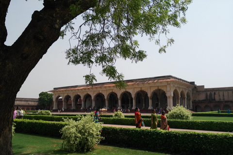 Private Guided Tour Tajmahal and Agra Fort from New Delhi