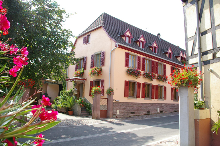 Wettolsheim: Organic Wine Tasting and Cellar Visit