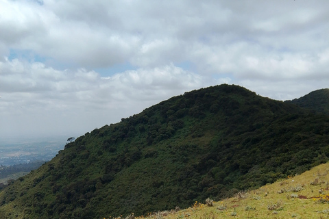 نيروبي: جولة مشي طويلة بصحبة مرشدين في تلال نغونغ مع حبل انزلاق اختياري