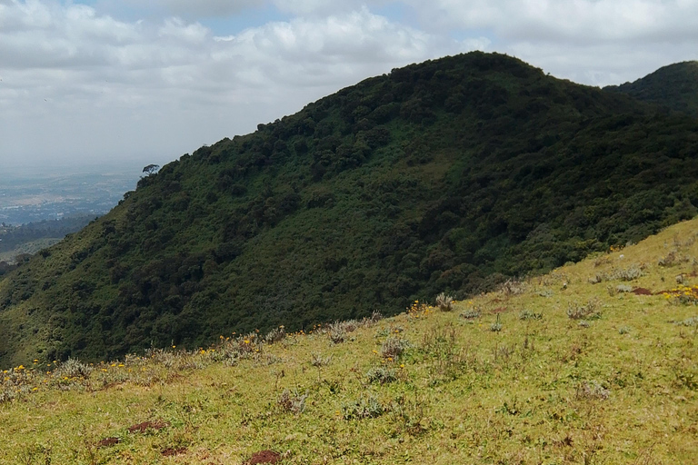 نيروبي: جولة مشي طويلة بصحبة مرشدين في تلال نغونغ مع حبل انزلاق اختياري