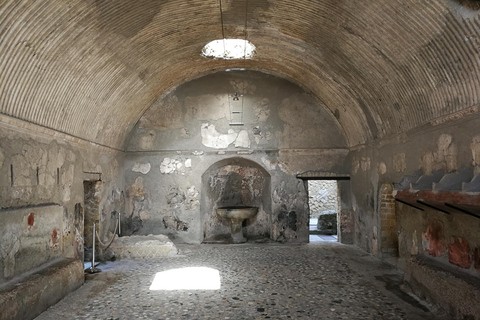 Herculanum : Visite privée avec chauffeur depuis NaplesOption avec chauffeur et billets - pas de visite guidée incluse