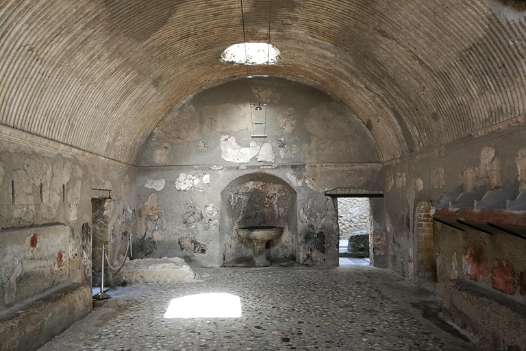 Herculanum : Visite privée avec chauffeur depuis NaplesOption avec chauffeur et billets - pas de visite guidée incluse