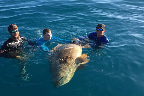 Tampa Bay: Private Shark Fishing Charter 5-Hour Private Night Shark Fishing Charter