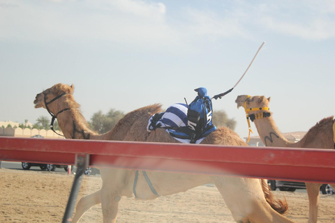 Doha: West Coast Tour ,Richard Serra Sculpture, Zekreet