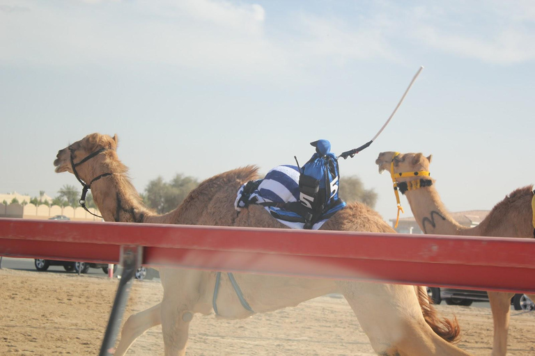 Doha: Wycieczka po Zachodnim Wybrzeżu, Rzeźba Richarda Serry, Zekreet