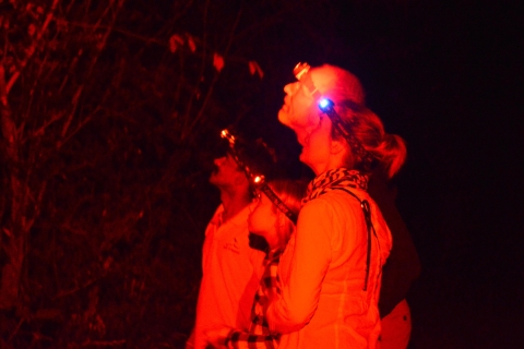 Excursión Nocturna para ver Loris Escurridizos y Raros en Sigiriya
