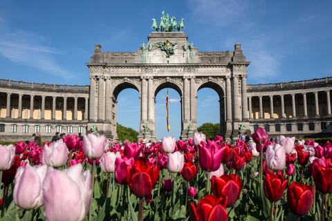 Brussel: Geheime paden en verhalen privé wandeltour