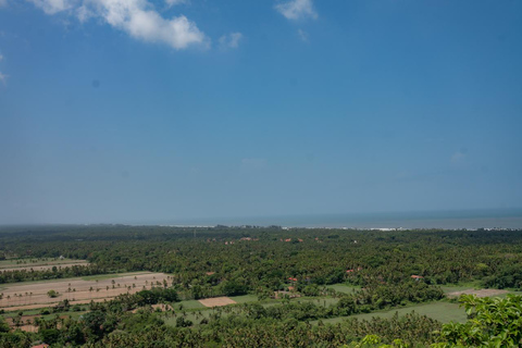 Entdecke Süd-Goa mit dem E-Bike - Kapellen, Tee und Küstenpfade