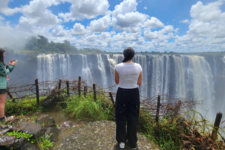 Experience Victoria Falls with an Expert Guide