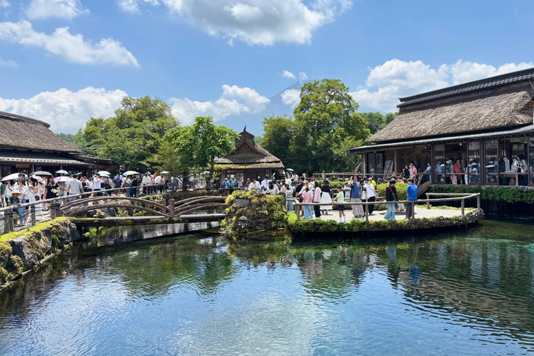 Tokyo: Mt. Fuji & Lake Kawaguchi Small Group Tour - 6 Spots Hotel Pickup Option