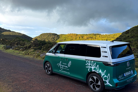 Terceira: Volcanic Cave Tour with Guide Terceira: Private Volcanic Cave Tour with Guide