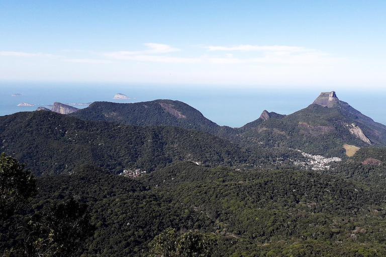 Rio de Janeiro: Wycieczka piesza na Pico da Tijuca