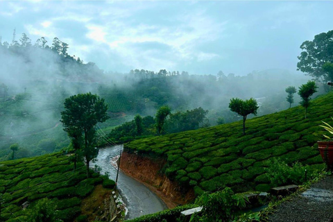 From Chennai: 12-Day Private Tour to Cochin with 3-Star Stay Chennai to Cochin 12 Days Private Tour with 3* Hotels