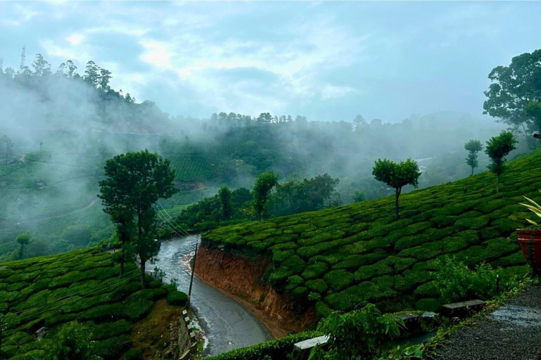 From Chennai: 12-Day Private Tour to Cochin with 3-Star Stay Chennai to Cochin 12 Days Private Tour with 3* Hotels