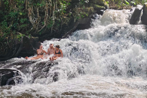 Chiang Mai: 2-dagars djungelvandring med elefantfarm och forsränning