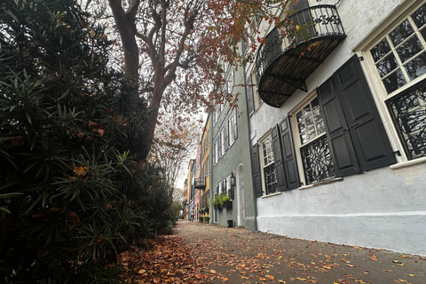 Charleston: Visita guiada a pie por la Historia y la Arquitectura