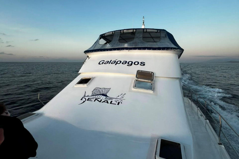 Santa Cruz: Ferry ticket to Isabela Island