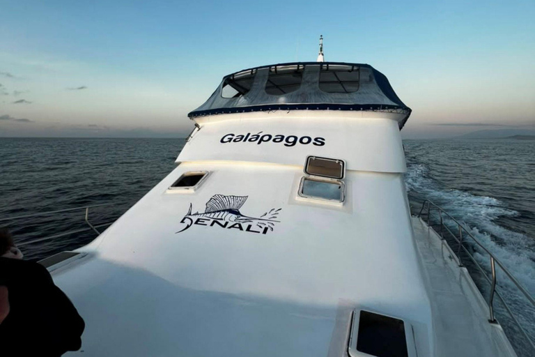 Santa Cruz: Ferry ticket to Isabela Island