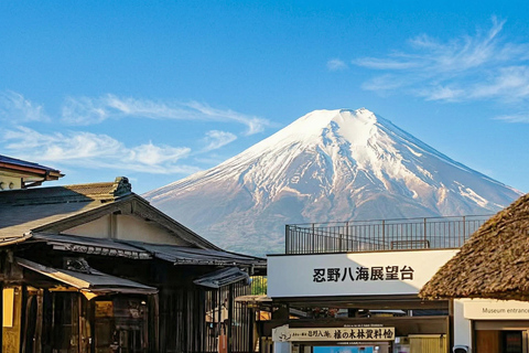 Mt. Fuji & Hakone Tour: Arakurayama, OshinoHakkai, Owakudani Tokyo Station | 7:30 AM Departure with English Guide