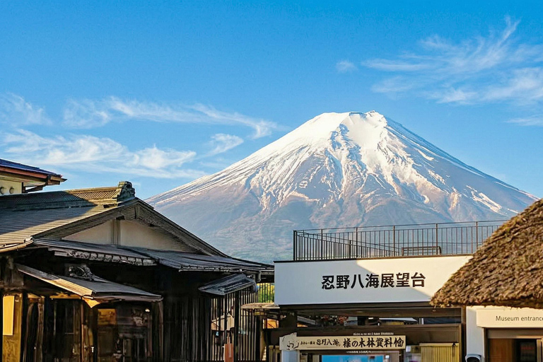 Mt. Fuji & Hakone Tour: Arakurayama, OshinoHakkai, Owakudani Tokyo Station | 7:30 AM Departure with English Guide