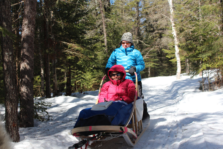 Mont-Tremblant: Dogsledding Nordic Adventure