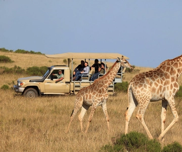 From Cape Town: 3-Day Garden Route Highlights and 4x4 Safari