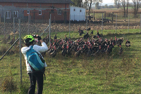 Marija Bistrica: E-bikes to the Wineries of Zlatar City