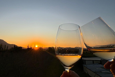 Alyan Family sunset winery Alyan Family