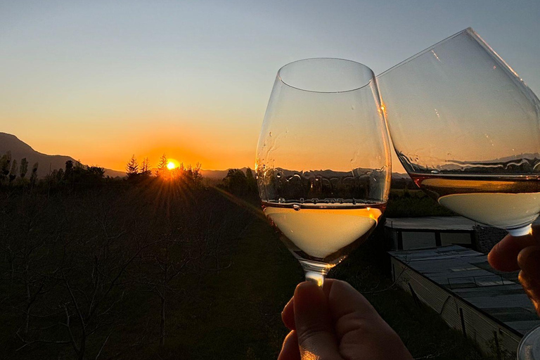 Alyan Family sunset winery Alyan Family