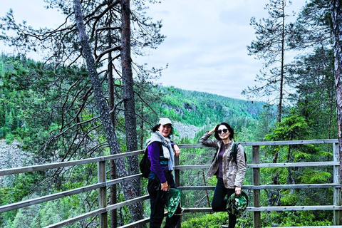 Rovaniemi to Ruka Roller Coaster & Korouoma Canyon Waterfall