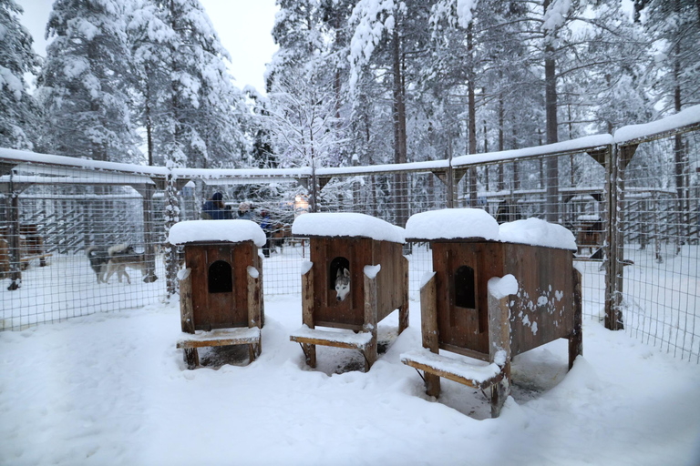 Rovaniemi: Husky & Reindeer Safari with Santa Claus Village