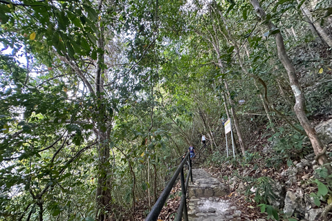 Da Puerto Princesa: Tour giornaliero della Grotta di Tabon con pranzoAccesso al museo con pranzo