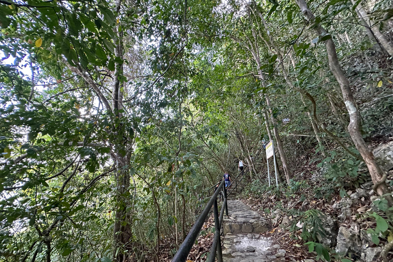 Depuis Puerto Princesa : Visite de la grotte de Tabon avec déjeunerAccès au musée avec déjeuner