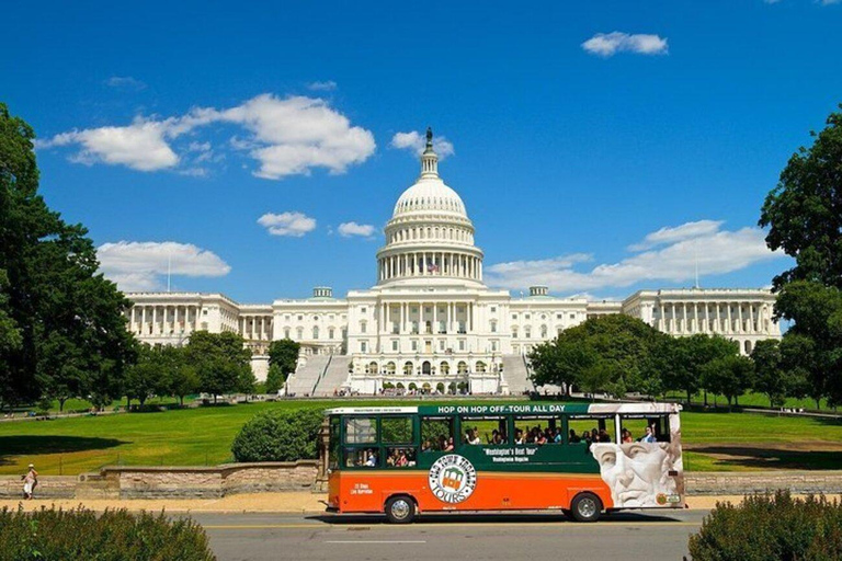 Washington DC: Private Moonlight Van Tour 1-4