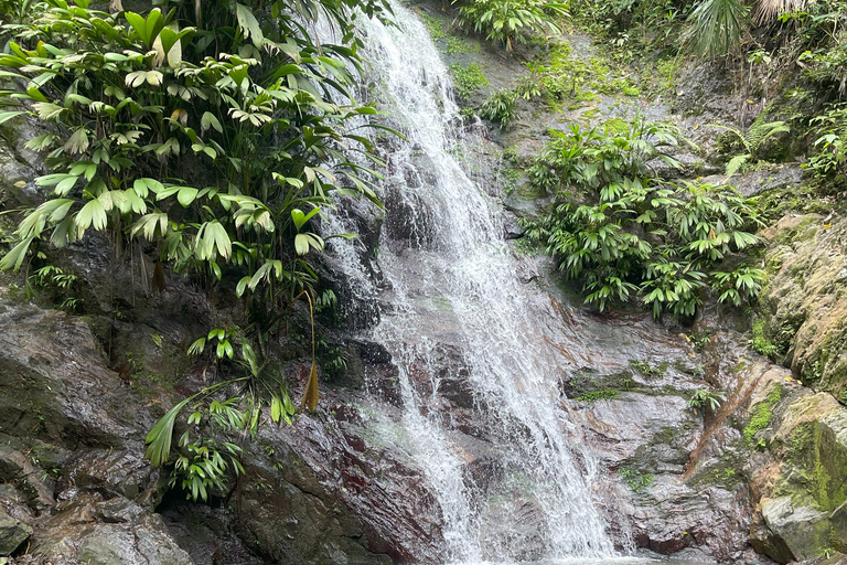 Minca: Coffee Farm and Hidden Waterfall Tour with Lunch