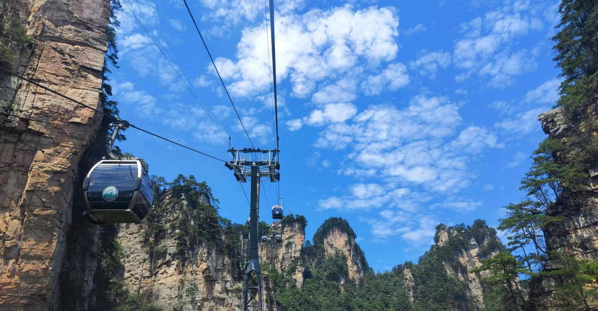 Full-Day Private Tour of Zhangjiajie National Forest Park - Housity